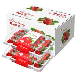 隆鲜道 红颜草莓 礼盒装
