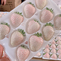 钱小二 淡雪草莓 0.5斤1盒约20粒礼盒装+京东空运