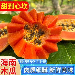 望果仙海南冰糖红心木瓜牛奶木瓜水果年货节品 精选2.5kg装