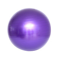 other其他 瑜伽球PVC加厚防爆健身球室内瑜伽球儿童瑜珈球65cm 紫(含气泵气拔气塞)