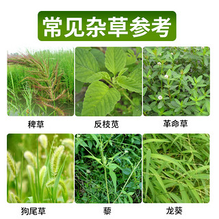 农仔新安草甘膦铵盐强力杂草甘草磷果园除草剂烂根灭草剂一扫光 1000g*12瓶/箱