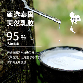 雅鹿乳胶床垫1.8x2米 秋冬家用双人海绵床垫褥子榻榻米垫子垫被记忆棉 单边乳胶床垫-直线灰【厚约9cm】 120x200cm-宿舍床适用