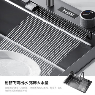 SSWW 浪鲸 TK9 厨房水槽数显大单槽 C款75*45配数显飞雨+洗杯器+台控