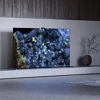 SONY 索尼 A80EL系列 OLED电视