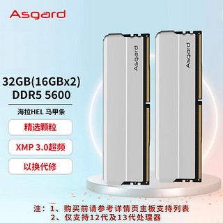 Asgard 阿斯加特 32GB(16GBx2)套装 DDR5 5600 台式机内存 海拉系列