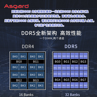 Asgard 阿斯加特 32GB(16GBx2)套装 DDR5 5600 台式机内存 海拉系列