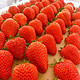 柚萝 红颜99草莓  巨无霸单果30-50g  5斤装