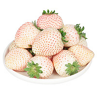 钱小二 淡雪白草莓 0.5斤1盒约20粒礼盒装+京东空运
