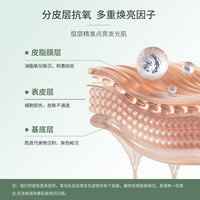 紫璐 α-熊果苷发光爽肤水补水保湿滋润去黄提亮收缩毛孔湿敷水女
