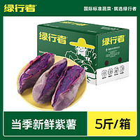 GREER 绿行者 山东红蜜番薯紫薯 5斤