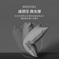 爆卖年货：SIDANDA 诗丹娜 95白鹅绒100支全棉柔软枕头 48*74cm