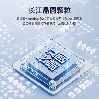 小盘(XDISK)2TB移动固态硬盘（PSSD）M80香槟金Nvme固态硬盘Type-c硬盘长江存储晶圆USB3.2 Gen2高速2100MB/s USB3.2极速高端（2100Mb/S)