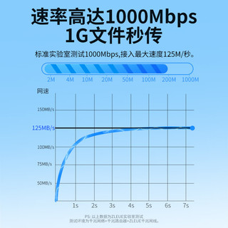  值计ZLEUE 高速千兆 超五类网线  1米