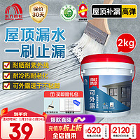 东方雨虹 ORIENTAL YUHONG 屋顶防水补漏材料2kg