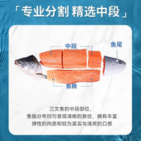 皇丞名肴 三文鱼尾排 100g 带皮无刺 5份