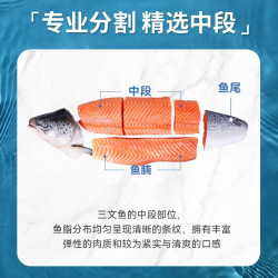 皇丞名肴 三文鱼尾排 100g 带皮无刺 5份