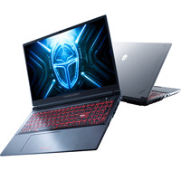 ThundeRobot 雷神 猎刃15游戏本 灰色（i7-13650HX、RTX 4060 8G、16GB、512GB、2.5K、165Hz） 5999元