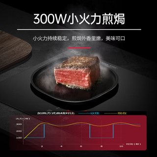  CHIGO/志高 爆炒大功率 嵌入式电磁炉双灶  黑