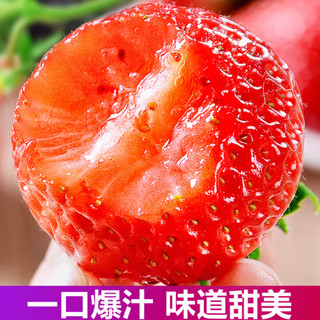智洲大凉山高山露天种植草莓现摘现发 农家草莓 新鲜直达 99红颜草莓 礼盒装 2盒【单果30g+】