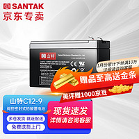 SANTAK 山特 UPS不间断电源电池 山特城堡电池 山特电池 C12-9AH