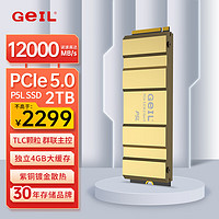GeIL 金邦 2TB SSD固态硬盘 M.2接口(PCIe 5.0 x4)NVMe SSD游戏高性能版 高速12000MB/S P5L系列