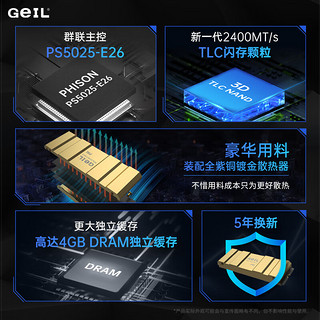 GeIL 金邦 2TB SSD固态硬盘 M.2接口(PCIe 5.0 x4)NVMe SSD游戏高性能版 高速12000MB/S P5L系列