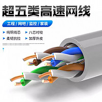 蓝风鹰 超五类 网线 普通版百兆款 20m