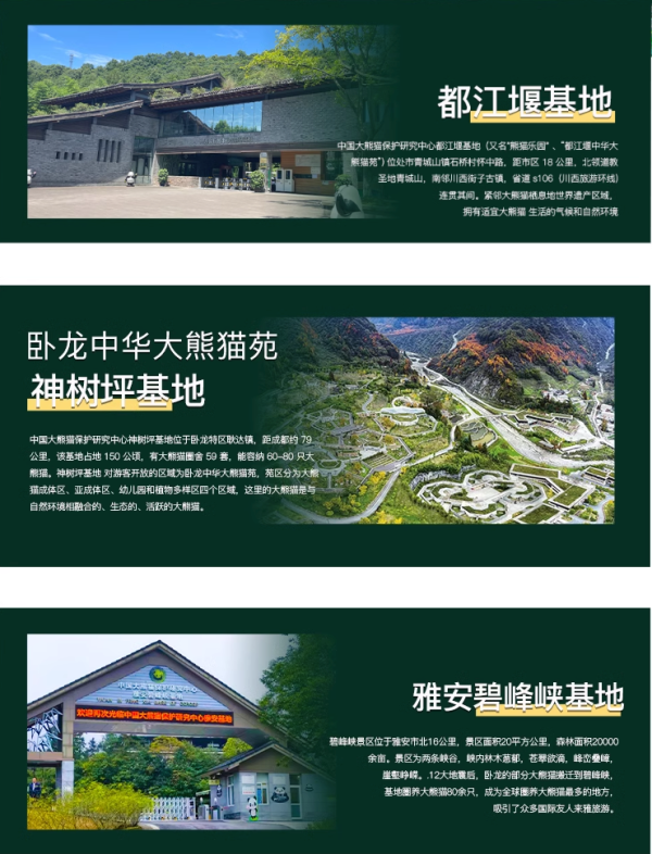 让小朋友WOW!做熊猫铲屎官!四川熊猫基地一日体验活动,含志愿者证书