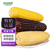 珍谷诱惑 23年新鲜糯玉米 有机玉米 甜糯玉米棒 真空玉米 轻食苞米