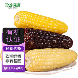 珍谷诱惑 23年新鲜糯玉米 有机玉米200g/根 甜糯玉米棒 真空玉米 轻食苞