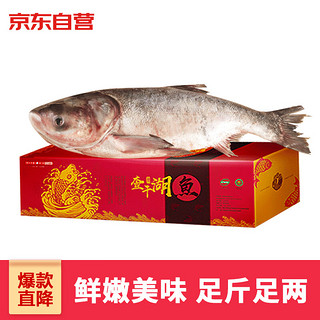 CHINGREE 查干湖 胖头鱼 4.25-4.5kg 礼盒装