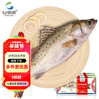 仙泉湖 三去白蕉海鲈鱼1kg*1条净膛冷冻刺少肉厚地标海鲜水产