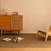 猫抓板猫窝一体剑麻地毯垫子秋冬耐磨不掉屑保护沙发防猫咪爪玩具
