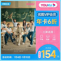 YOUKU 优酷 VIP会员年卡 12个月