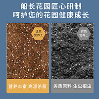 船长花园 营养土养花通用型