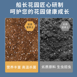 船长花园 营养土养花通用型