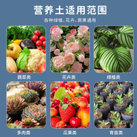 船长花园 营养土养花通用型