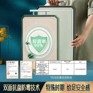闪闪优品菜板家用抗菌砧板双面防霉案板厨房切菜板子食品级切水果砧板粘板 双面抗菌砧板：中号
