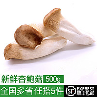 绿食者新鲜杏鲍菇500g炒菜食材煲汤烧烤食用菌菇火锅食材