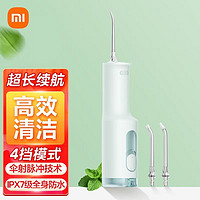 移动端、京东百亿补贴：Xiaomi 小米 MI 小米 Xiaomi 小米 电动冲牙器 F300绿色