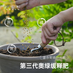 海蒂的花园 奥绿缓释肥花多多1号250g
