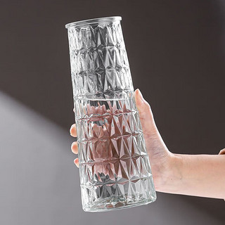 猎瑞日杂小件简约透明玻璃花瓶桌面插花水养干花鲜花花瓶 款式 2个