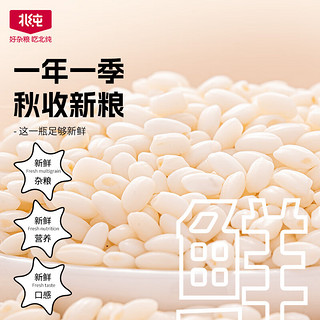 北纯有机糯米1.5kg 罐装（江米 黏米 粽子米 粗粮 杂粮 粥米搭档 ）