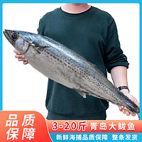 隆鲜道 青岛黄金大鲅鱼 20-21斤整条礼盒装