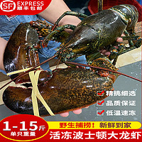 隆鲜道 大号波士顿龙虾 4-4.5斤/只
