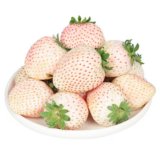 茜货 丹东99粉玉奶油草莓水果生鲜中果2斤装 单果15-25g 源头直发