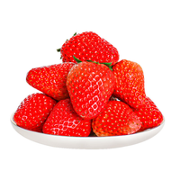 花蜜果 现摘红颜奶油草莓 2斤礼盒装 中大果