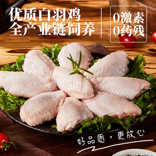 中红单冻鸡翅中500g/袋*3袋  卤味 生鲜食材
