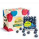 怡颗莓 云南蓝莓 jumbo超大果 原箱12盒礼盒装