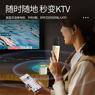 pbook 家用唱歌音箱K歌娱乐家庭KTV